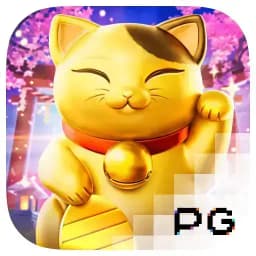 yallalivetop: Lucky Neko