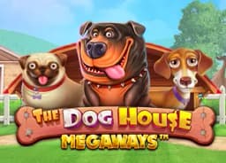 yallalivetop: The Dog House Megaways